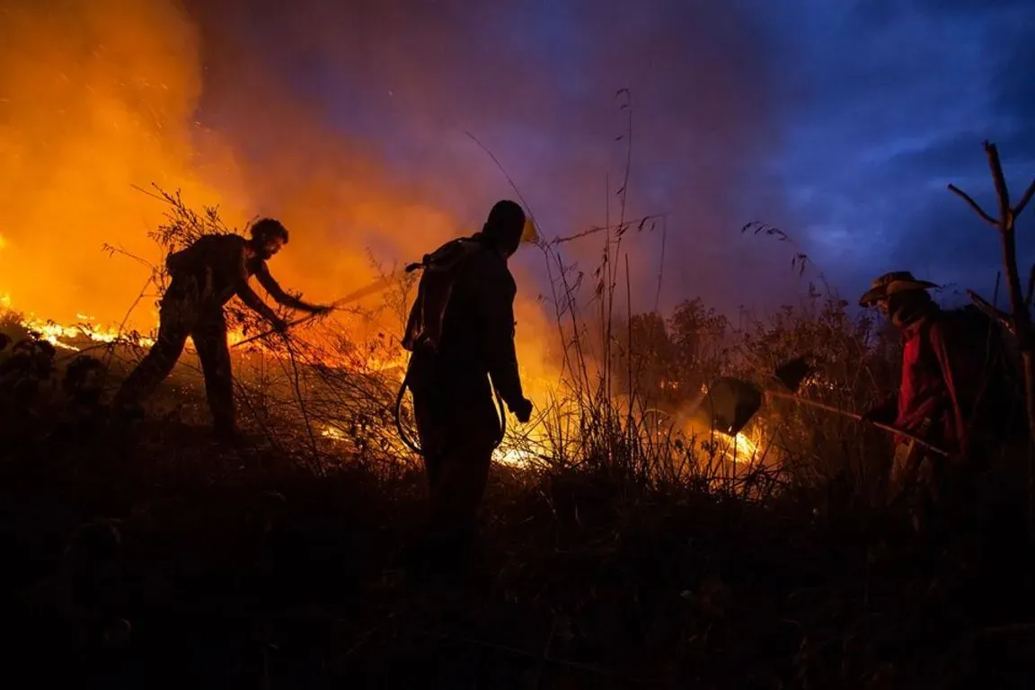 189 FOCOS COMBATIDOS - Governo intensifica enfrenta incêndios florestais com a Operação Verde 2025 Rondônia 


